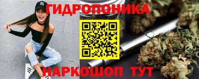 a pvp Гатчина