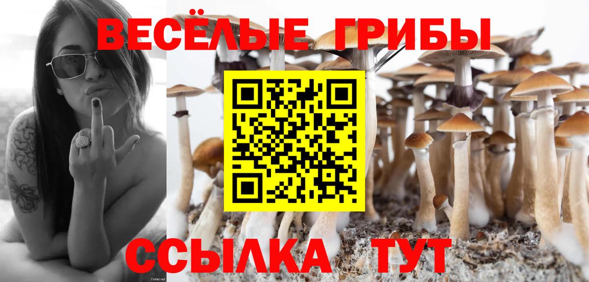 Галлюциногенные грибы GOLDEN TEACHER  Вход с VPN  Новодвинск 